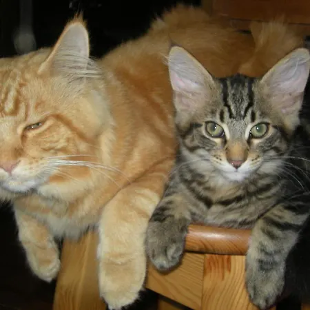 Dwa Deby בית אירוח לובאבקה