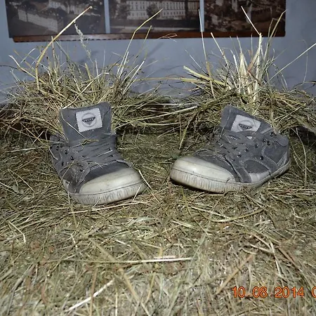 홈스테이 Dwa Deby 우바브카