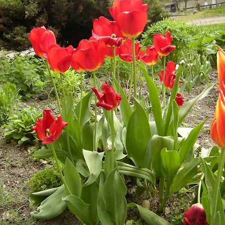 Pansiyon Dwa Deby Lubawka