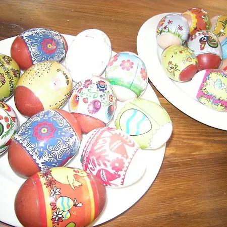 홈스테이 Dwa Deby 우바브카